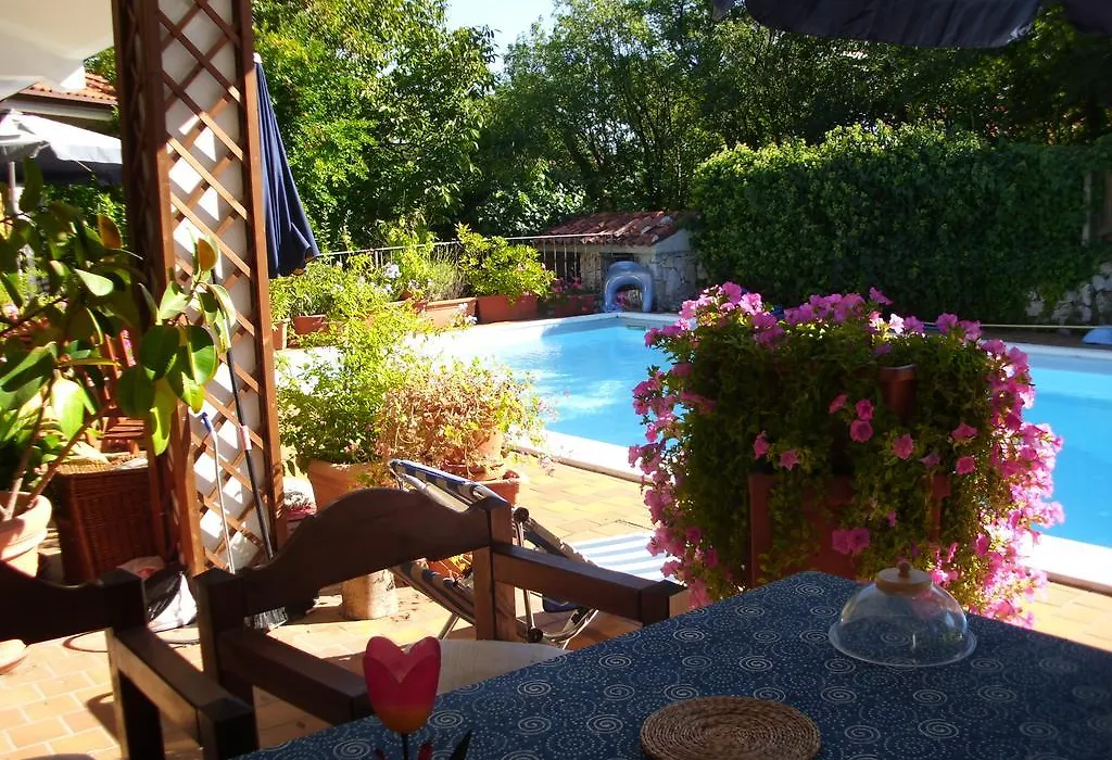 B&B Pane & Tulipani-1